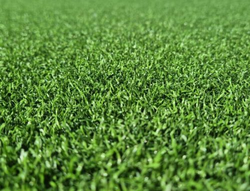 Rund 6.600 qm Kunstrasen GreenFields Pure PT in Ratekau Panzdorf in  KW 32-33 /26